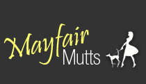 Mayfair Mutts