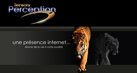 Creation Sites internet